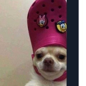 Meet your Posher, Jackie